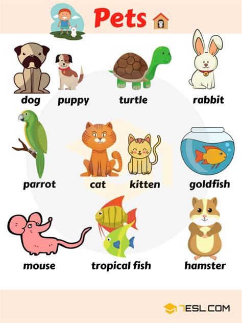 List of Pets .